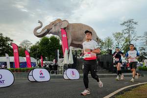 BIB: 
                            <button type="button" onclick="openModal(26528616)" class="btn btn-primary btn-sm float-right btn-popup" data-toggle="modal" data-target=".modal-high-quality">
                        <i class="fas fa-shopping-cart"></i> Add to Cart
                    </button>
                                            <button type="button" onclick="isThisMe(26528616, true)" class="btn btn-success btn-sm float-right btn-popup btn-isme hidden" data-toggle="tooltip" data-placement="bottom" title="นี่คือรูปของคุณใช่ไหม คลิกที่นี่เพื่อเอาเข้าอัลบั้ม">
                        <i class="fas fa-plus"></i> Add to album
                    </button>
                    <button type="button" onclick="isThisMe(26528616, false)" class="btn btn-warning btn-sm float-right btn-popup btn-isnotme hidden">
                        <i class="fas fa-ban"></i> Remove from album
                    </button>